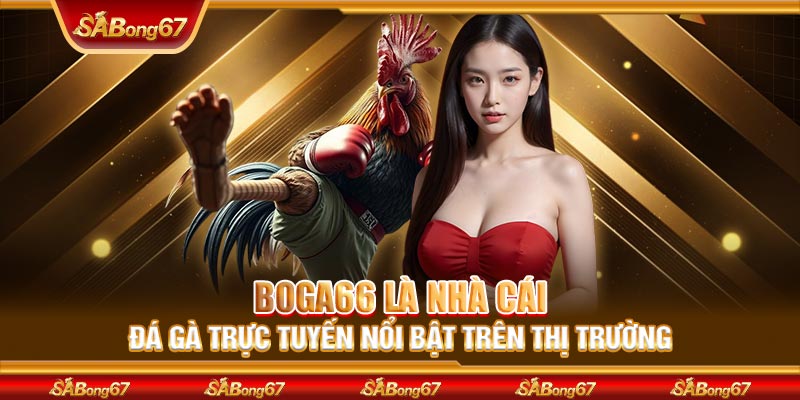 BOGA66 là nhà cái đá gà trực tuyến nổi bật trên thị trường