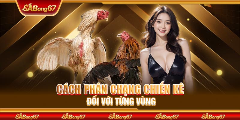 Cách phân hạng chiến kê đối với từng vùng