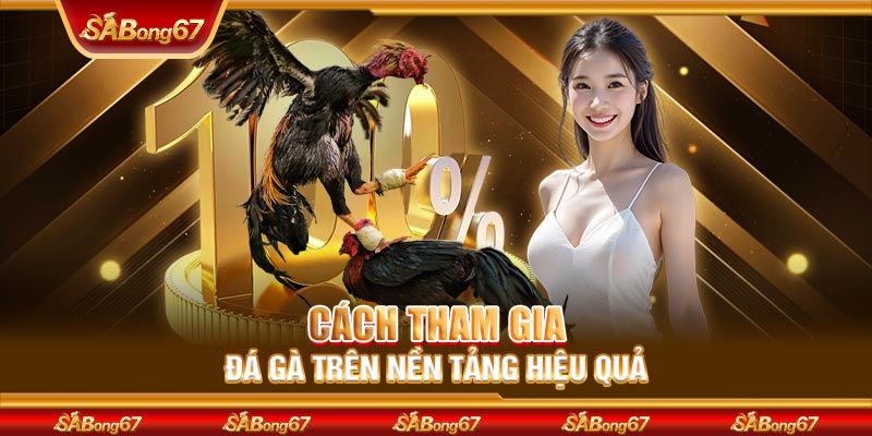 Cách tham gia đá gà trên nền tảng hiệu quả