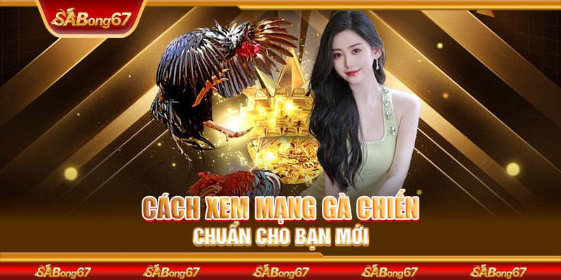 Cách xem mạng gà chiến chuẩn cho bạn mới