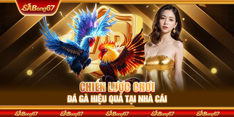 Chiến lược chơi đá gà hiệu quả tại nhà cái
