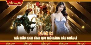 Đá Gà C1 - Giải Đấu Kịch Tính Quy Mô Hàng Đầu Đông Nam Á