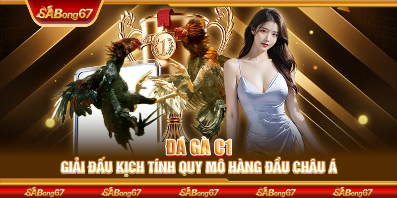 Đá Gà C1 - Giải Đấu Kịch Tính Quy Mô Hàng Đầu Đông Nam Á