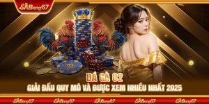 Đá Gà C2 - Giải Đấu Quy Mô Và Được Xem Nhiều Nhất 2025