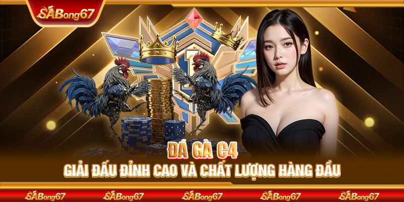 Đá Gà C4 - Giải Đấu Đỉnh Cao Và Chất Lượng Hàng Đầu