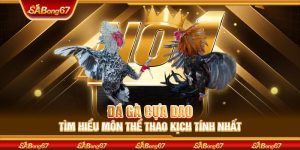 Đá Gà Cựa Dao - Tìm Hiểu Môn Thể Thao Kịch Tính Nhất