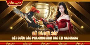 Đá Gà Cựa Sắt | Đặt Cược Các Pha Chọi Đỉnh Cao Tại SABONG67