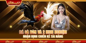 Đá Gà Đòn Và 2 Kinh Nghiệm Nhận Định Chiến Kê Tài Năng