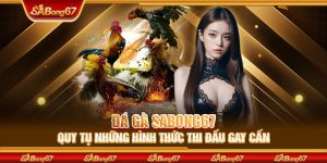 Đá Gà SABONG67 - Quy Tụ Những Hình Thức Thi Đấu Gay Cấn