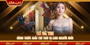 Đá Gà Tre SABONG67 - Hình Thức Giải Trí Thú Vị Cho Người Mới
