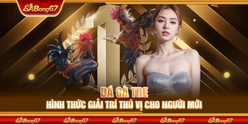 Đá Gà Tre SABONG67 - Hình Thức Giải Trí Thú Vị Cho Người Mới