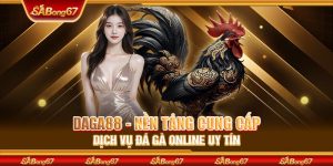 DAGA88 - Nền Tảng Cung Cấp Dịch Vụ Đá Gà Online Uy Tín