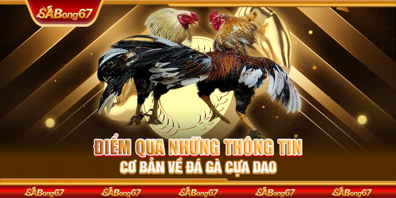 Điểm qua những thông tin cơ bản về đá gà cựa dao