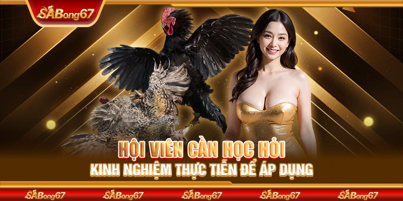 Hội viên cần học hỏi kinh nghiệm thực tiễn để áp dụng