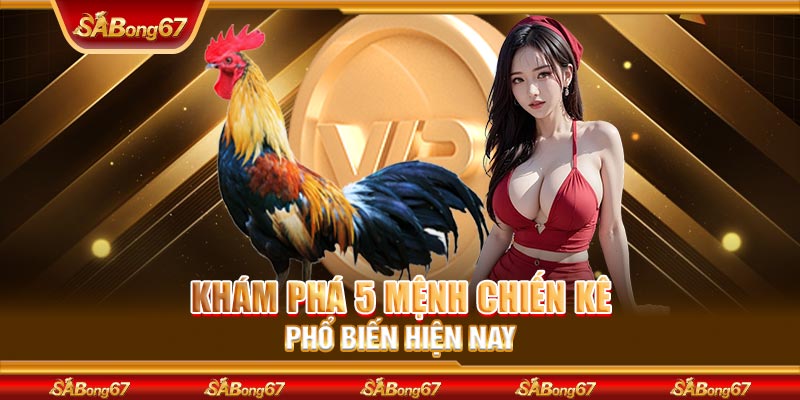 Khám phá 5 mệnh chiến kê phổ biến hiện nay
