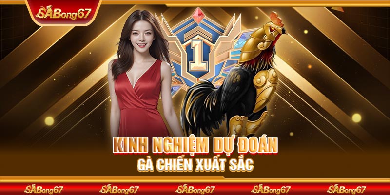 Kinh nghiệm dự đoán gà chiến xuất sắc