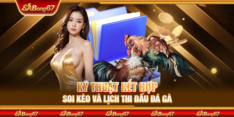 Kỹ thuật kết hợp soi kèo và lịch thi đấu đá gà