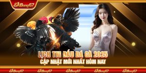 Lịch Thi Đấu Đá Gà 2025 - Cập Nhật Mới Nhất Hôm Nay