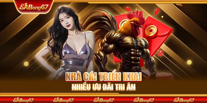 Nhà cái triển khai nhiều ưu đãi tri ân