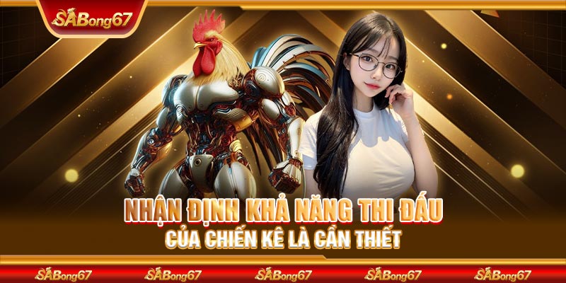 Nhận định khả năng thi đấu của chiến kê là cần thiết