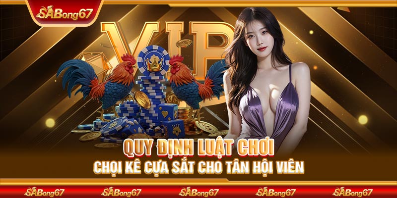 Quy định luật chơi chọi kê cựa sắt cho tân hội viên