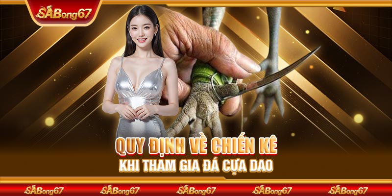 Quy định về chiến kê khi tham gia đá cựa dao