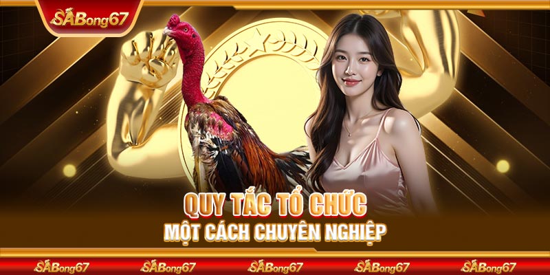 Quy tắc tổ chức một cách chuyên nghiệp