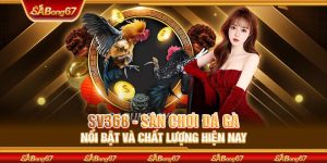 SV368 - Sân Chơi Đá Gà Nổi Bật Và Chất Lượng Hiện Nay
