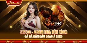 SV388 - Khám Phá Nền Tảng Đá Gà Dẫn Đầu Châu Á Năm 2025