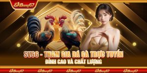SV66 - Tham Gia Đá Gà Trực Tuyến Đỉnh Cao Và Chất Lượng