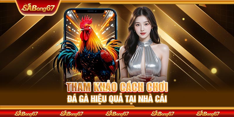 Tham khảo cách chơi đá gà hiệu quả tại nhà cái