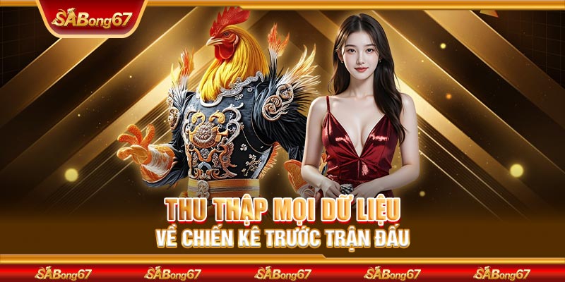 Thu thập mọi dữ liệu về chiến kê trước trận đấu