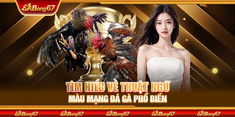 Tìm hiểu về thuật ngữ màu mạng đá gà phổ biến 
