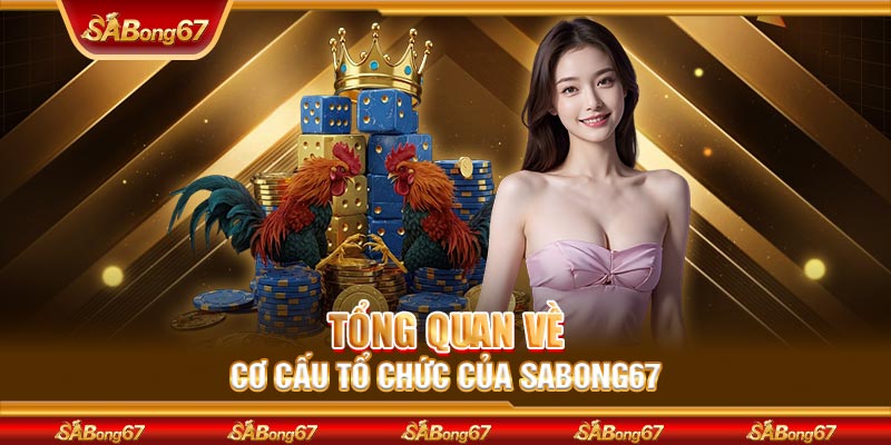 Tổng quan về cơ cấu tổ chức của SABONG67
